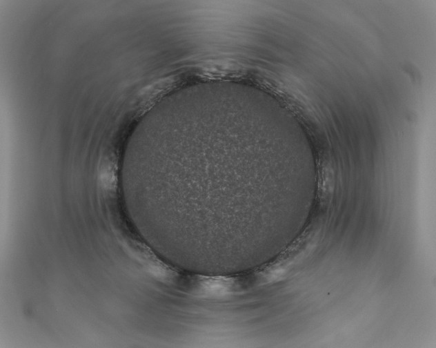 X0000111460226200907271257