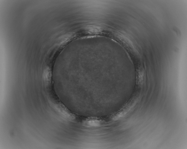 X0000111460228200907271257