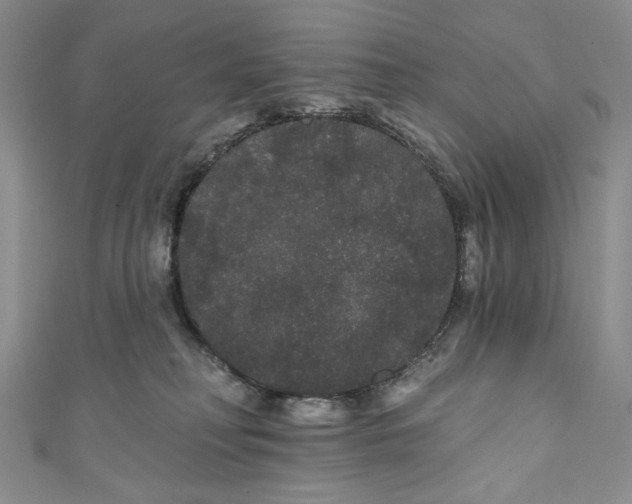 X0000111460230200907271257