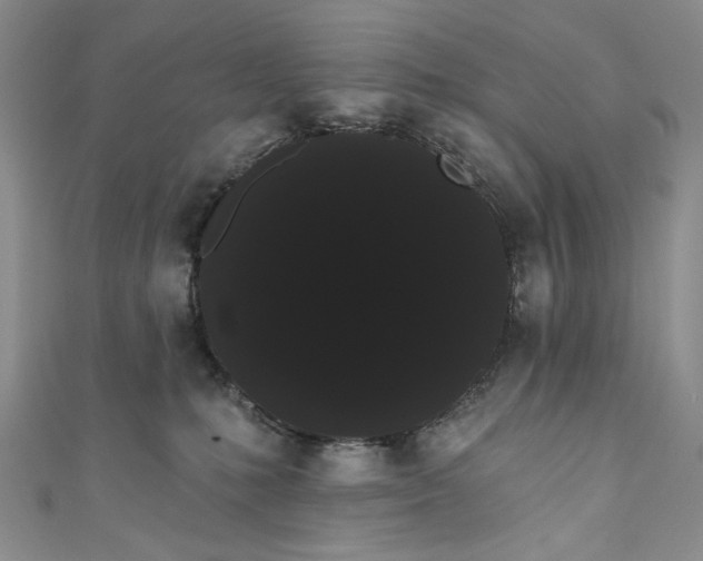 X0000111460231200907271257