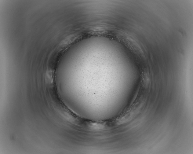 X0000111460232200907271257