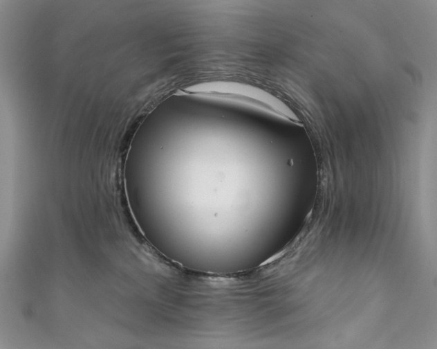 X0000111460233200907271257