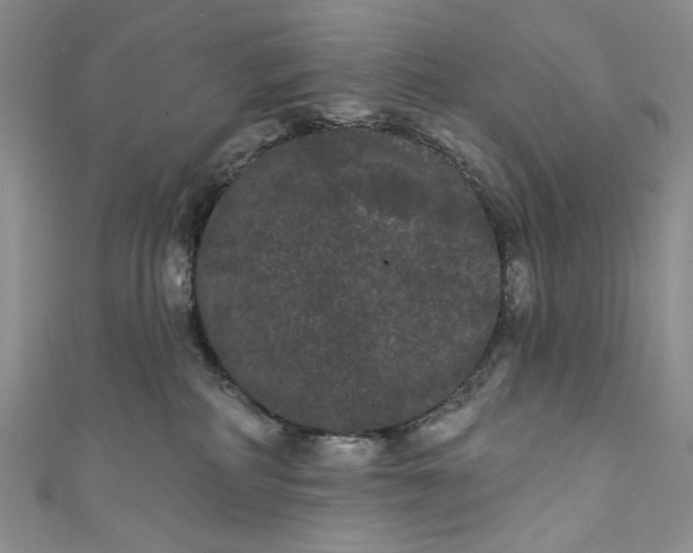 X0000111460234200907271257