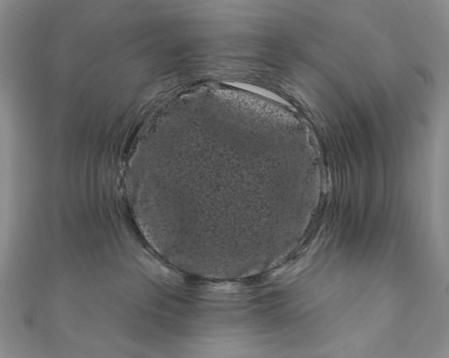 X0000111460237200907271257