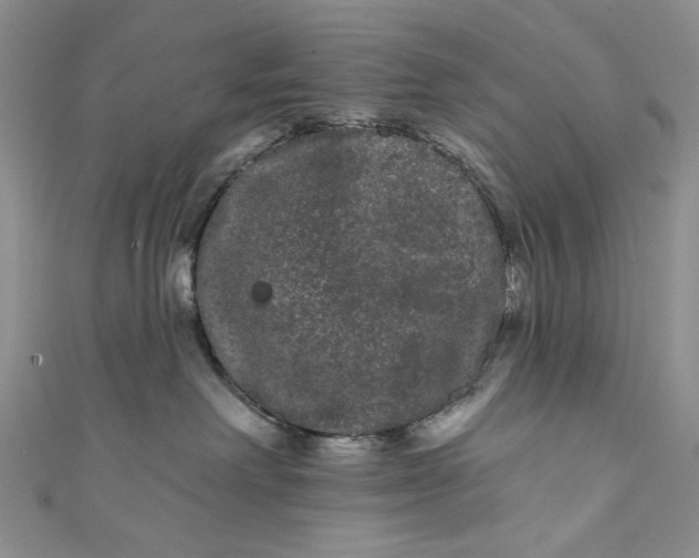 X0000111460238200907271257