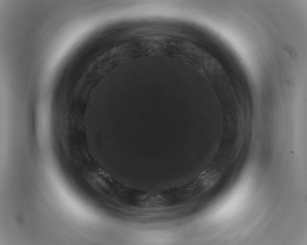 X0000111460239200907271257