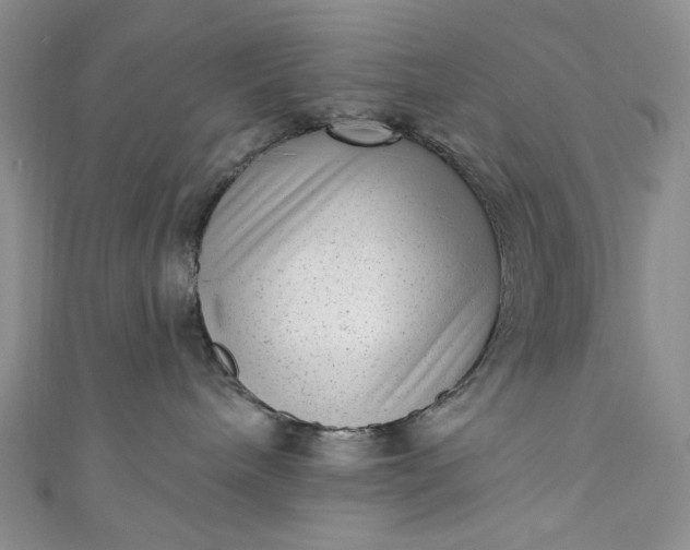 X0000111460240200907271257