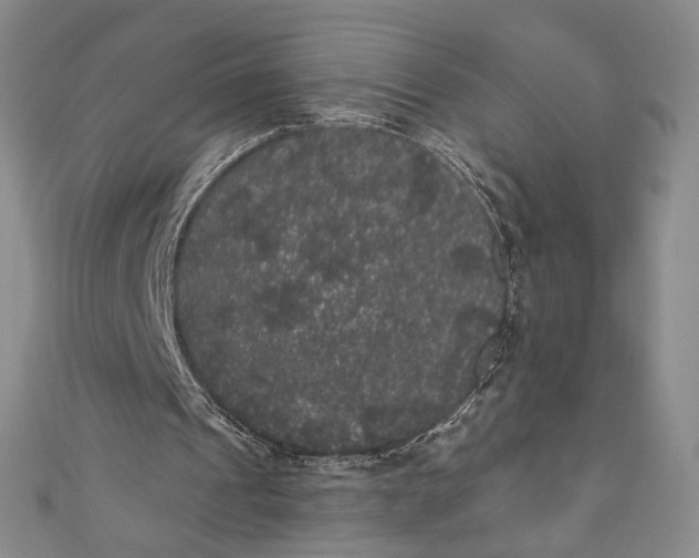 X0000111460241200907271257