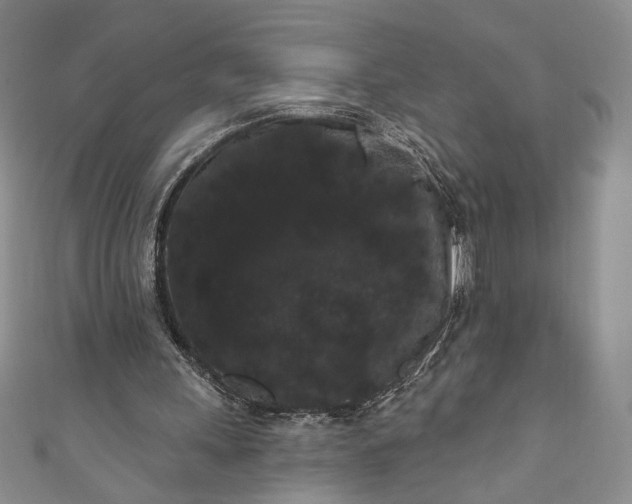 X0000111460243200907271257