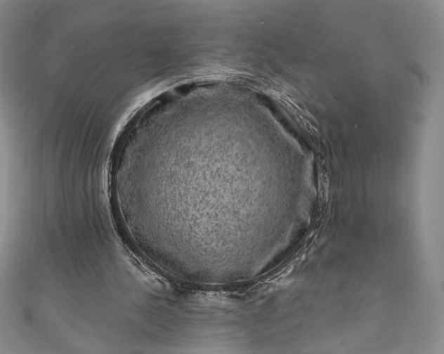 X0000111460244200907271257