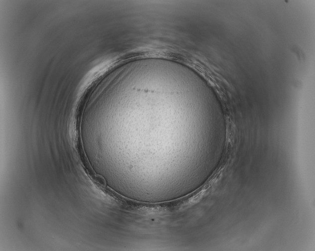 X0000111460245200907271257