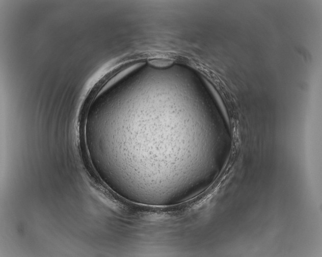 X0000111460246200907271257