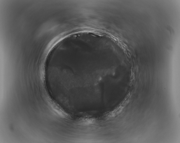 X0000111460247200907271257