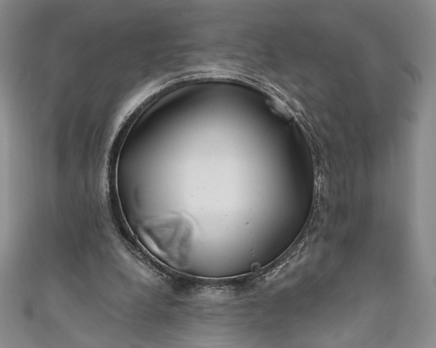 X0000111460248200907271257