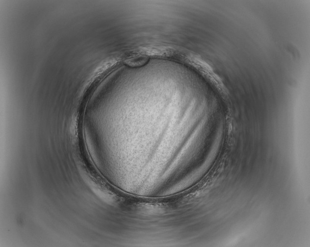 X0000111460250200907271257