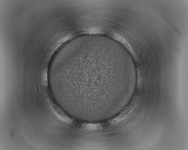 X0000111460251200907271257