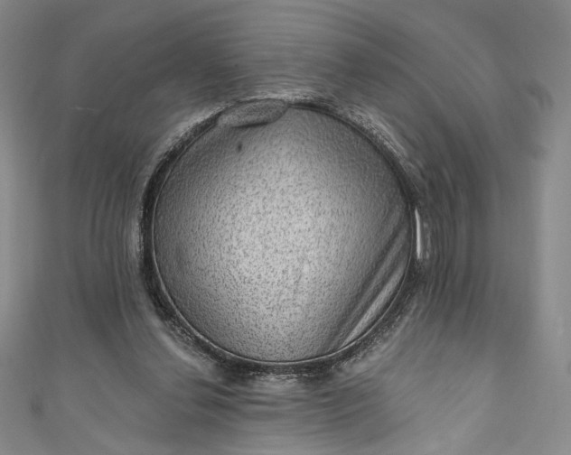 X0000111460252200907271257