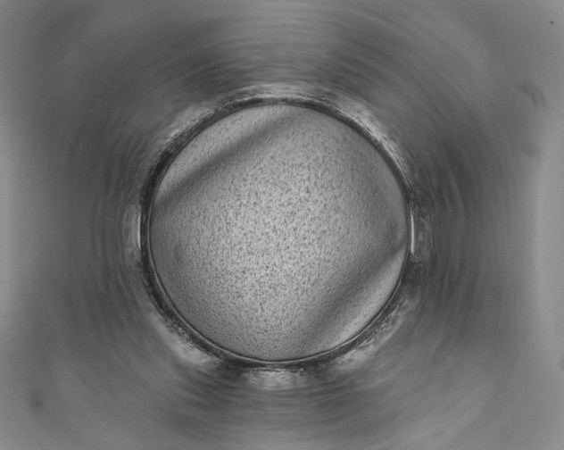 X0000111460253200907271257