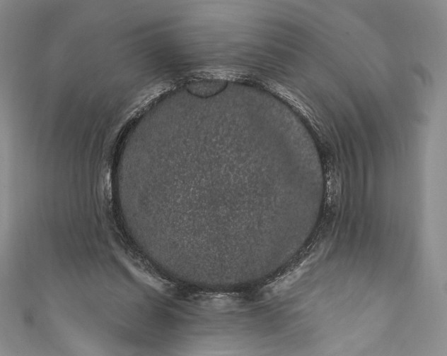 X0000111460254200907271257