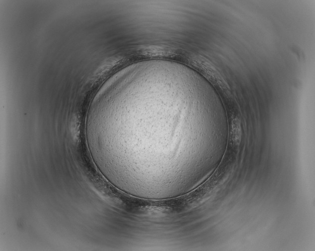 X0000111460255200907271257