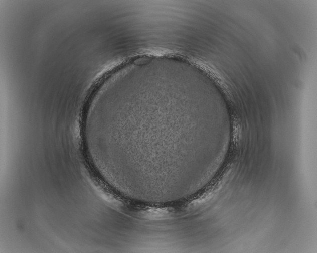 X0000111460256200907271257