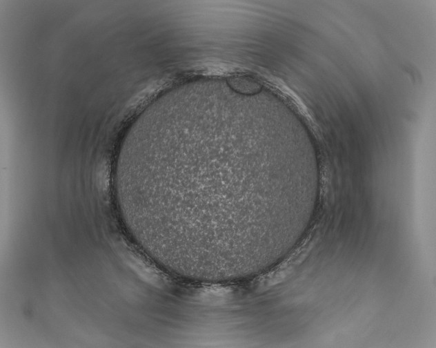 X0000111460257200907271257