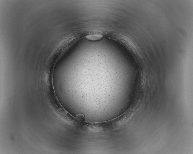 X0000111460258200907271257