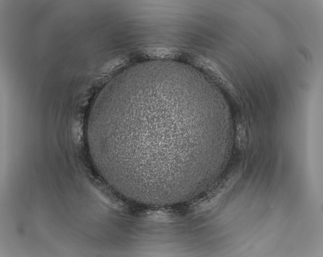 X0000111460259200907271257