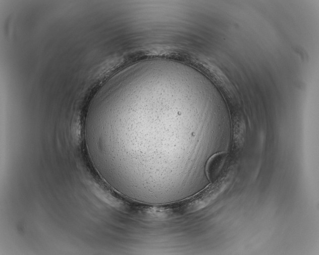 X0000111460261200907271257