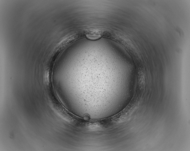 X0000111460262200907271257