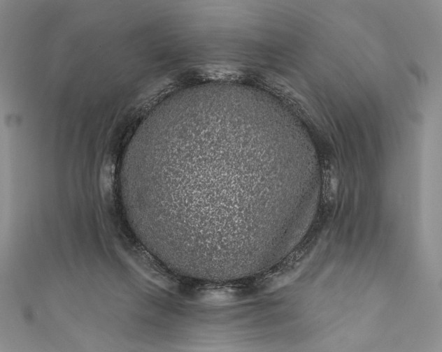 X0000111460263200907271257