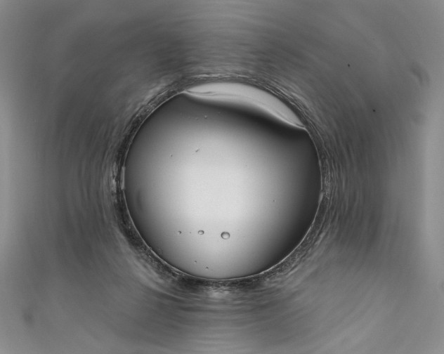 X0000111460264200907271257