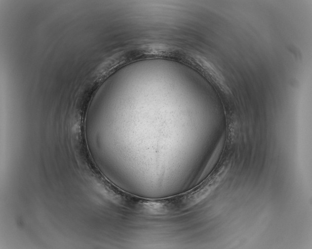 X0000111460265200907271257