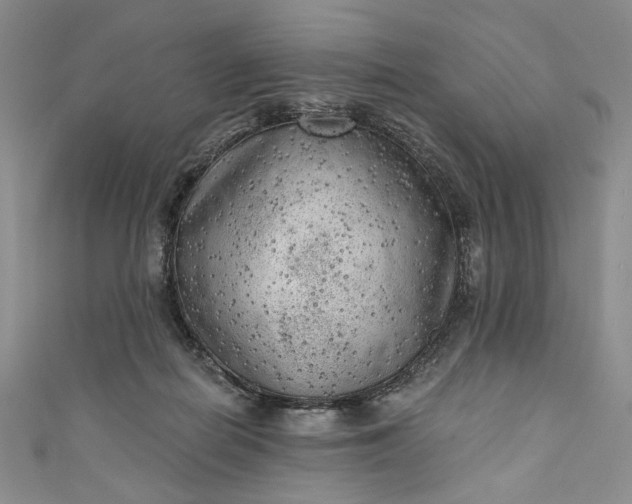 X0000111460266200907271257