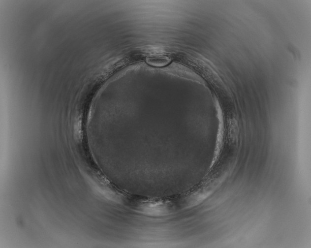 X0000111460267200907271257