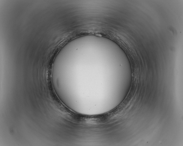 X0000111460268200907271257