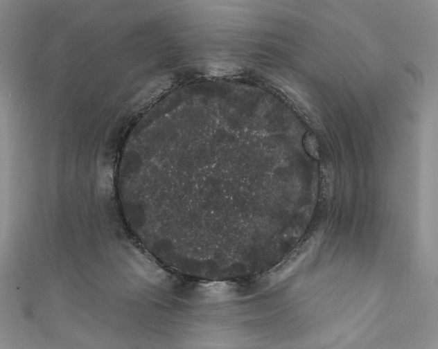 X0000111460269200907271257