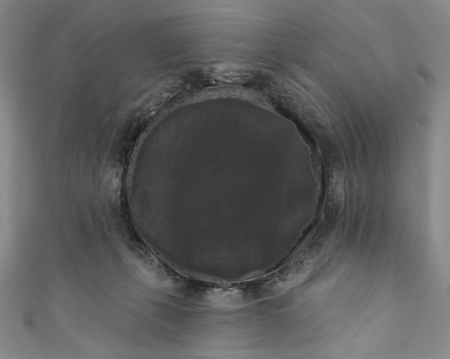 X0000111460271200907271257