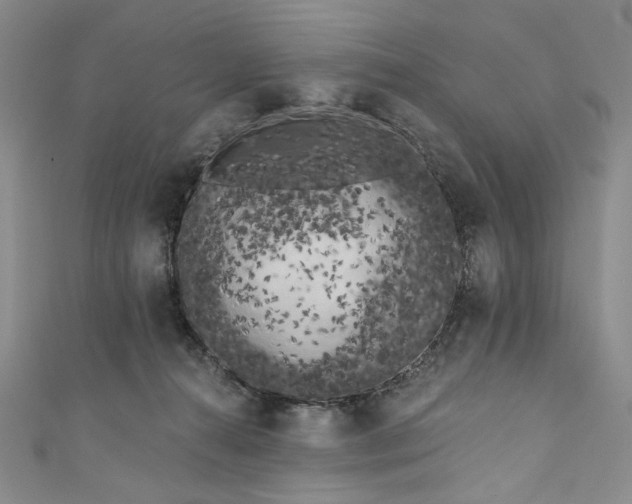 X0000111460272200907271257