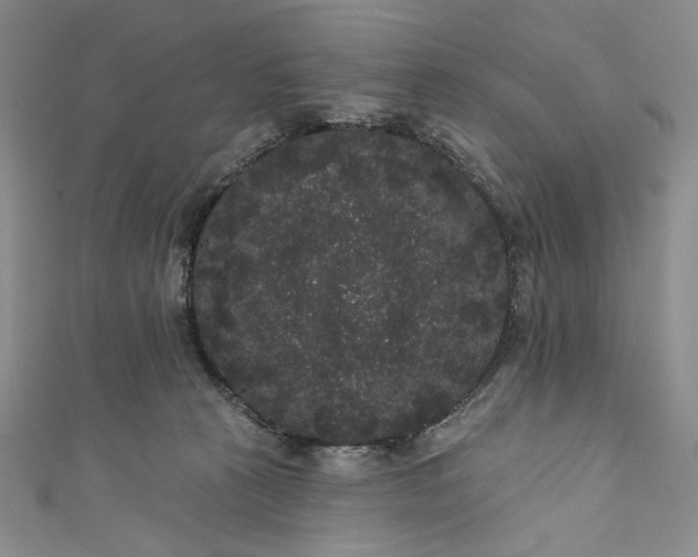 X0000111460273200907271257