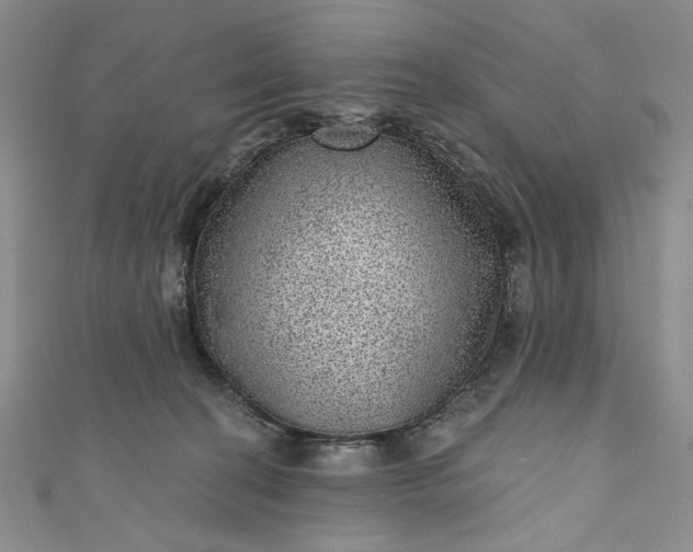 X0000111460274200907271257