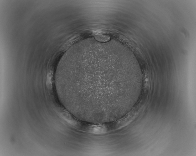 X0000111460275200907271257