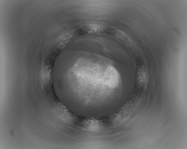 X0000111460276200907271257