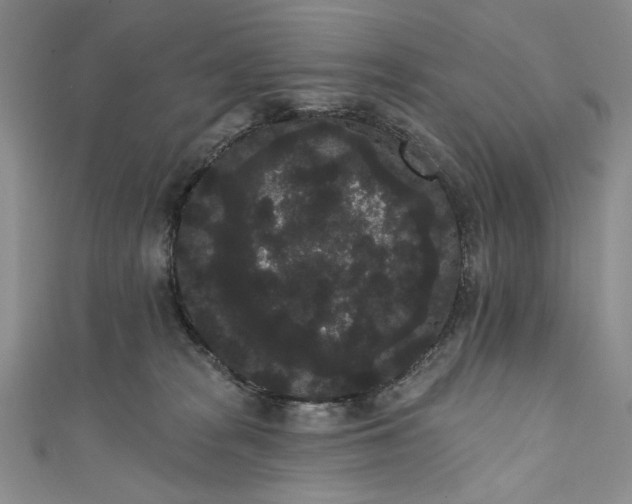 X0000111460277200907271257