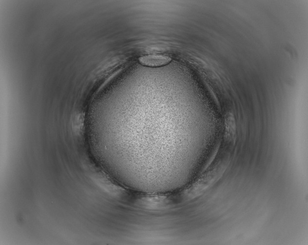 X0000111460278200907271257