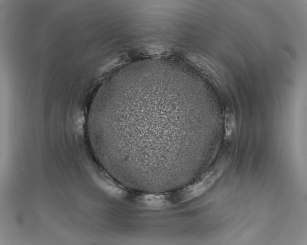 X0000111460279200907271257