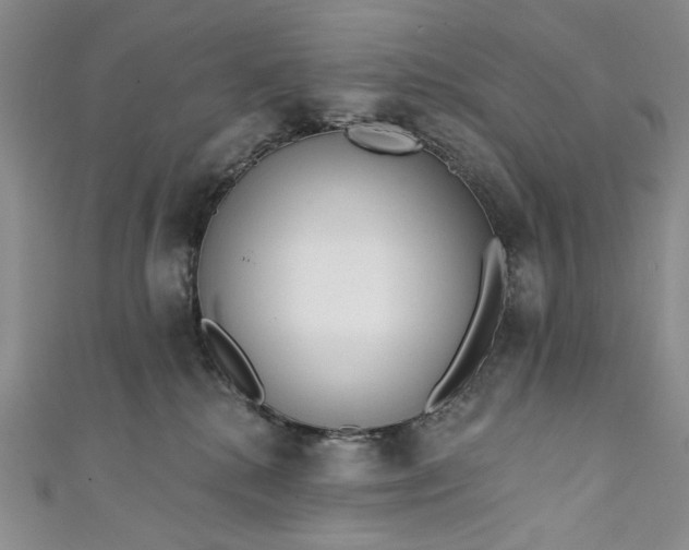 X0000111460280200907271257