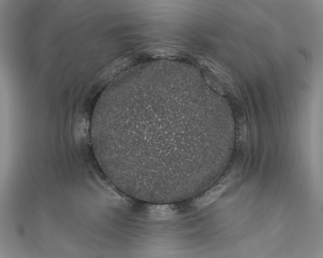 X0000111460281200907271257