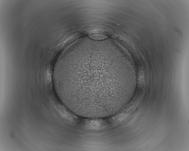 X0000111460282200907271257