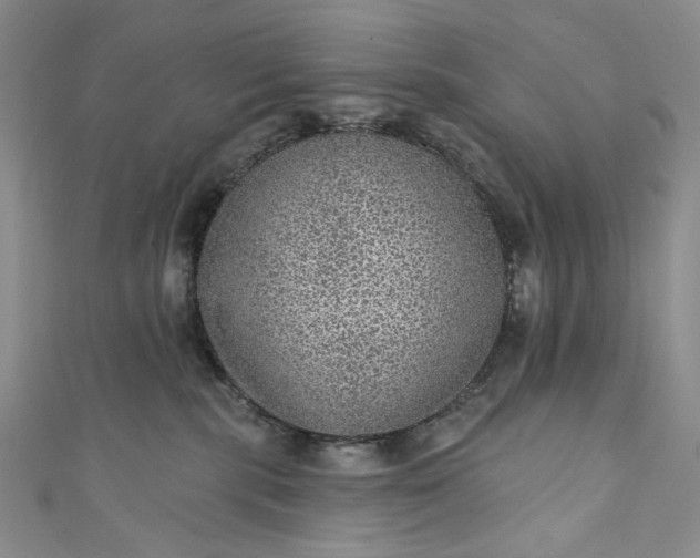 X0000111460283200907271257